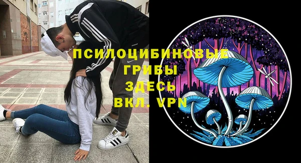 прущие крисы Алексин