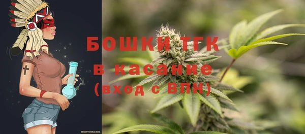 гидра Абаза
