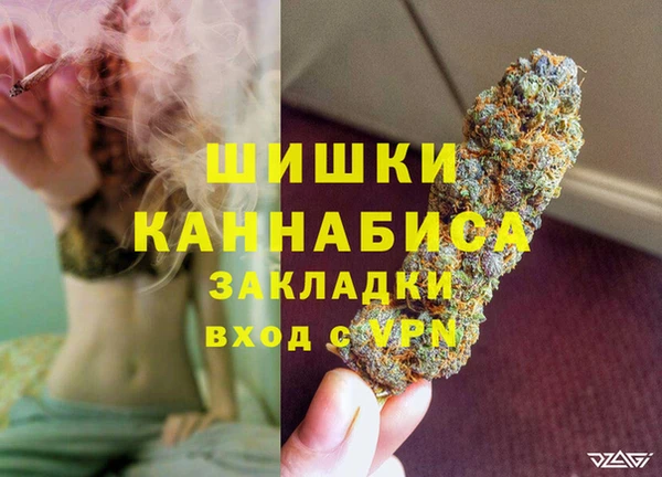 гидра Абаза