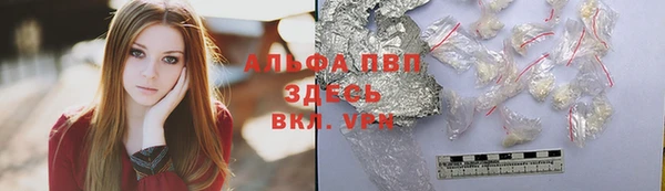 гидра Абаза