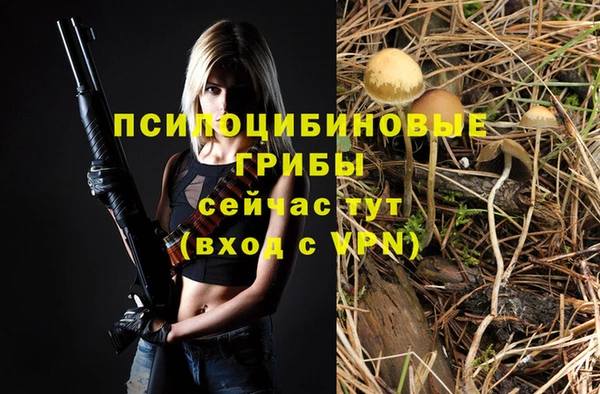стаф Абинск