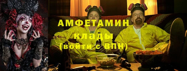 гидра Абаза