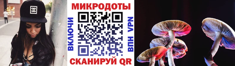 Галлюциногенные грибы MAGIC MUSHROOMS  Иланский 