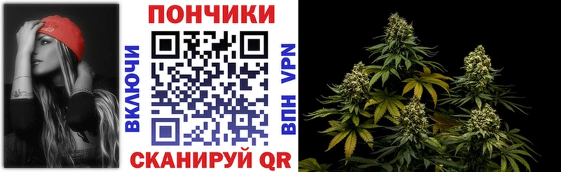Конопля ГИДРОПОН Иланский